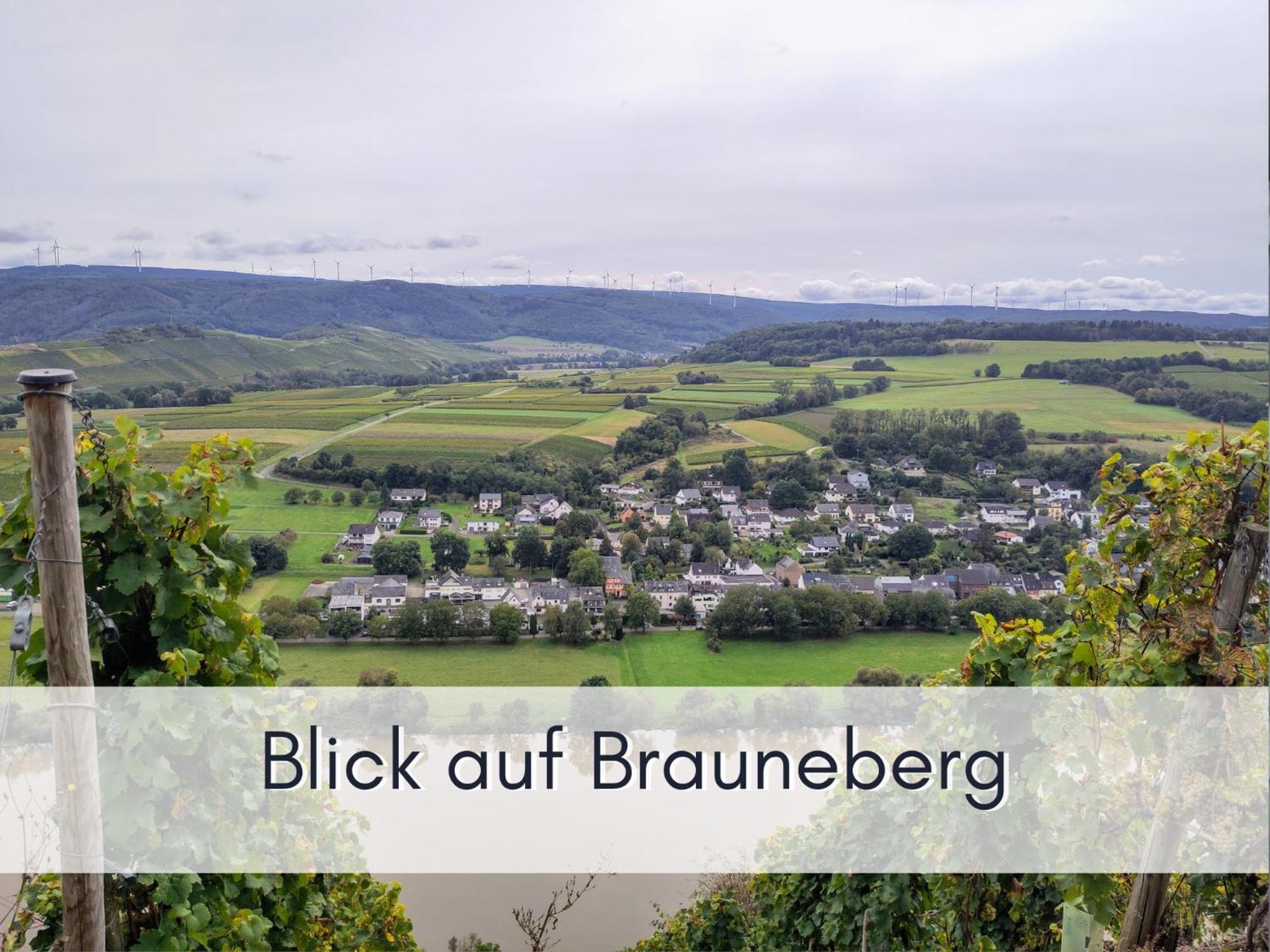 Komfort Fewo L Moselstay L Maximal 4 Personen Und Baby I Brauneberg Mosel I Wifi I Exterior photo